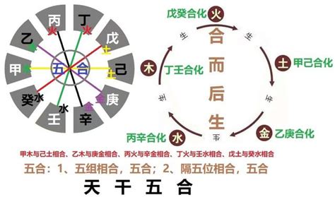 五行合化表|天干五合详解